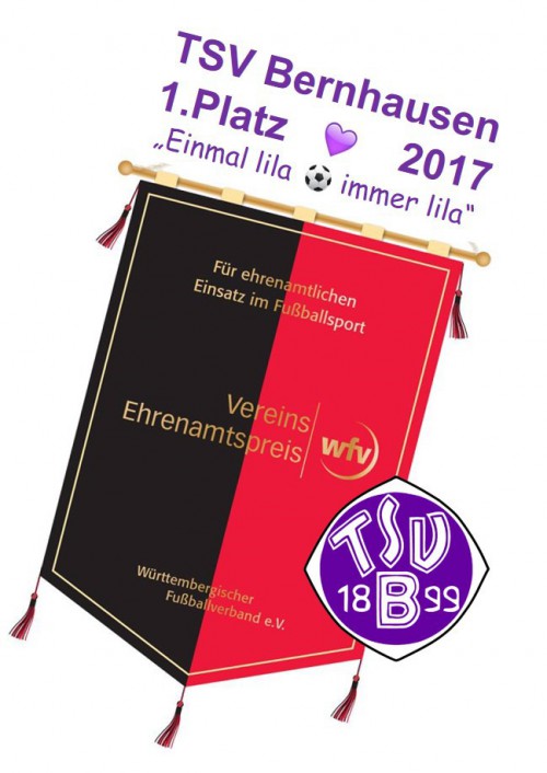 WFV- Vereins-Ehrenamtspreis 2017 an TSV Bernhausen