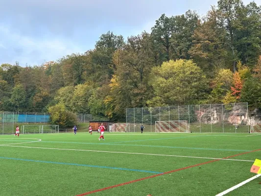 20.10.2024 VfL Kaltental vs. TSV Bernhausen II