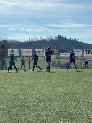 02.03.2025 TSV Wäschenbeuren vs. TSV Bernhausen